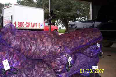 live crawfish at eh farm truck live crawfish in katy at
the farm